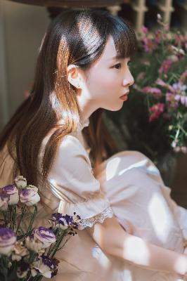 青楼十二房在线观看免费版电视剧全集